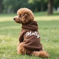 Personalized Dog Hoodie: Embroidered Pet Name, Bright Puppy Sweatshirt product logo