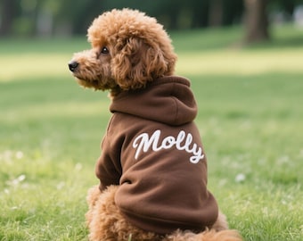 Personalized Dog Hoodie: Embroidered Pet Name, Bright Puppy Sweatshirt
