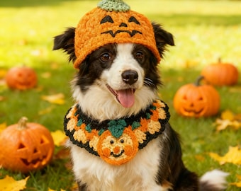 May include: A black and white dog wearing a crocheted pumpkin hat and collar. The orange hat has a carved face, and the collar features a smiling pumpkin design. Pumpkins and fall leaves are scattered on the grass.