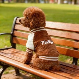 May include: A brown dog wearing a brown and cream corduroy jacket with the name "Molly" embroidered on the back. The jacket has striped trim. The dog is sitting on a wooden bench.