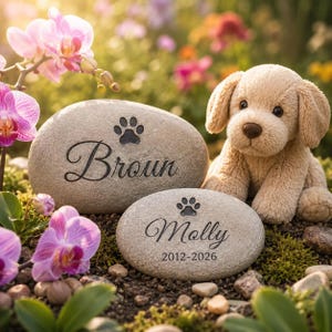 以下が含まれることがあります： 足跡と名前「Brown」と「Molly 2012-2026」が刻まれた2つの記念石が、犬のぬいぐるみと一緒に置かれています。ピンクの蘭と緑が石を囲み、穏やかな屋外の風景を作り出しています。
