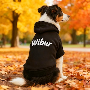 May include: A black dog hoodie with the name "Wibur" in white script on the back. The dog is sitting in a park with fall foliage in the background. The dog has black, white, and brown fur.