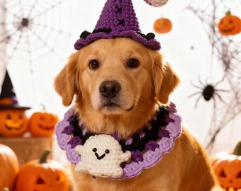 May include: A golden retriever dog wearing a purple crochet witch hat and matching collar with a white ghost applique. The Halloween-themed photo includes pumpkins, spiders, and a spider web backdrop.