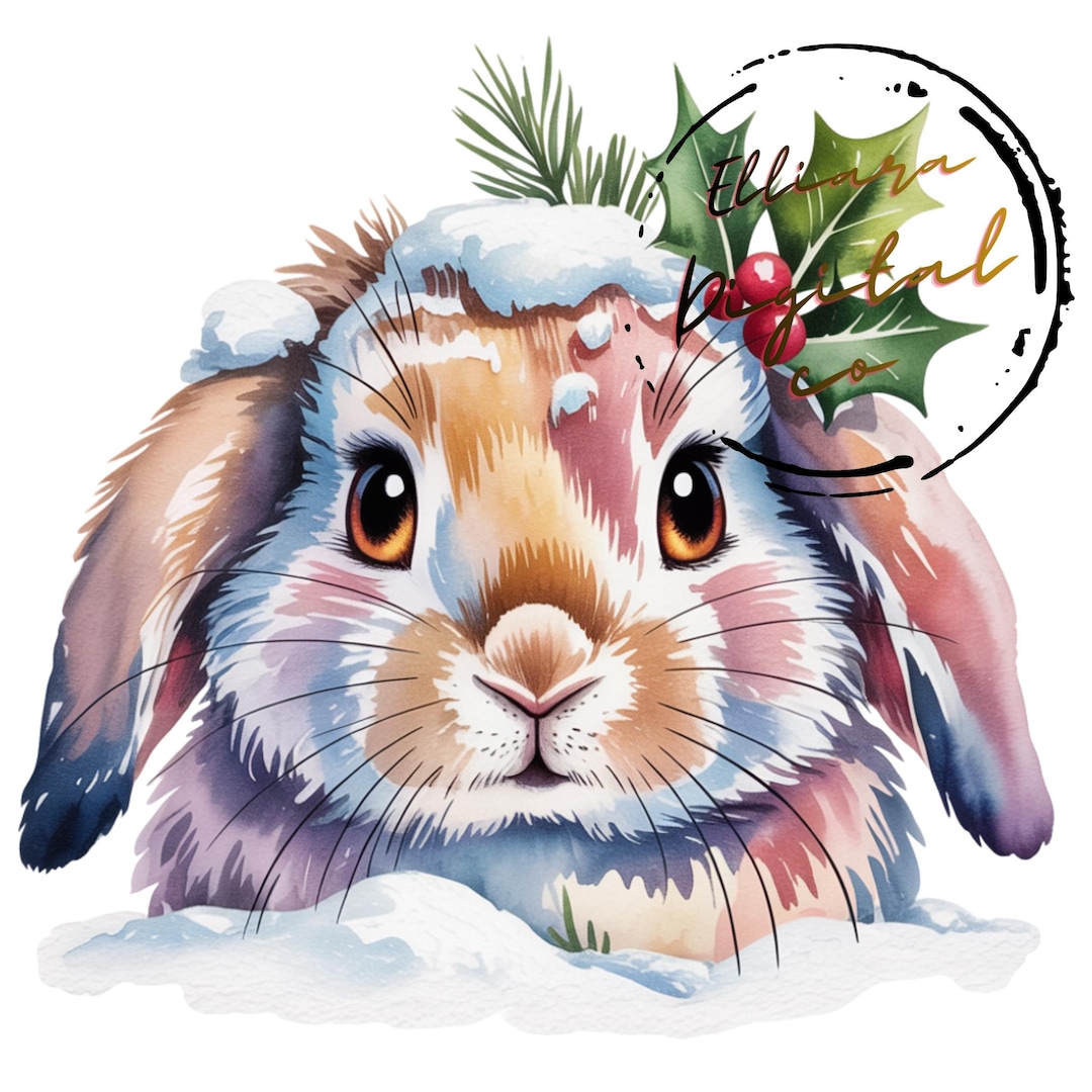 5 Watercolor Winter Bunny Clipart | Snow Rabbit PNG Bundle |christmas ...