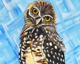 Owl Time in Cape Coral