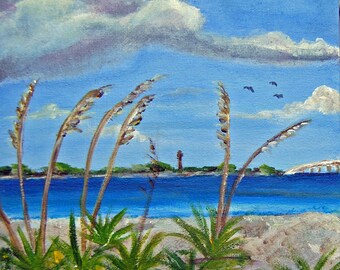 Puedo ver a Sanibel #2