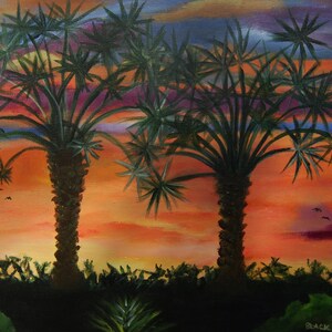 SWFL Sunset