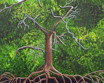 Before Ian (Red Mangrove)