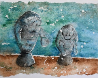 Manatees Hangin Around