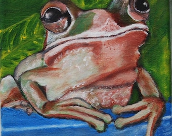 Cuban Tree Frog