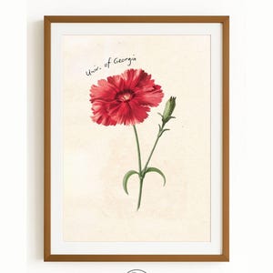 Georgia Vintage Floral Wall Art | Digital Download | University of Georgia | UGA Dorm, Apartment, House Decor | SEC Printable Poster| Athens