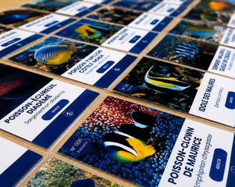 Cartes à collectionner interactives des poissons de La Réunion | 26 cartes imprimables PDF avec QR | Pack Fondation Orvezard