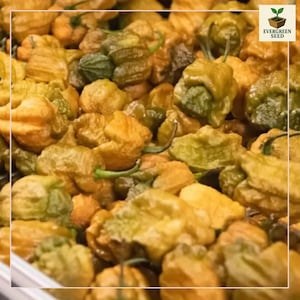 May include: Close-up of a pile of yellow and green peppers. The peppers have a wrinkled texture and small green stems. The image includes the text "EVERGREEN SEED" with a logo of a plant.