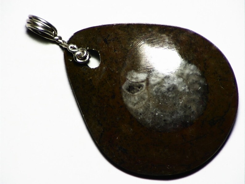 real fossil necklace