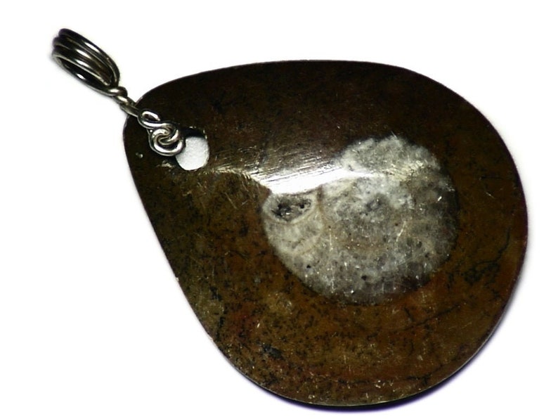 real fossil necklace