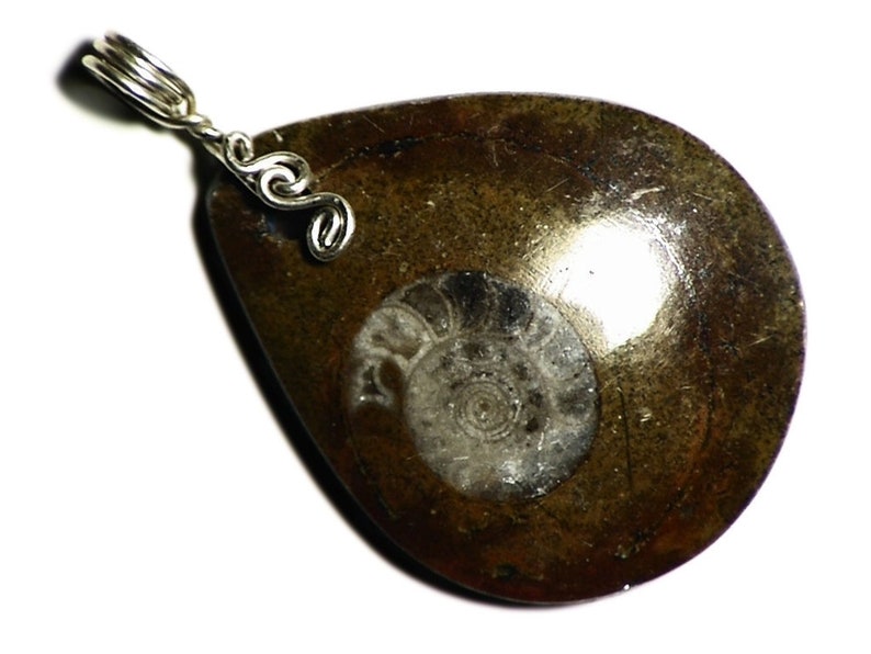 real fossil necklace