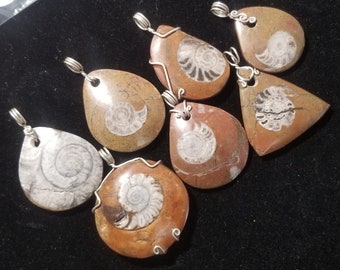 You Pick: Ammonite Fossil Pendant in Sterling Silver Wire Wrap