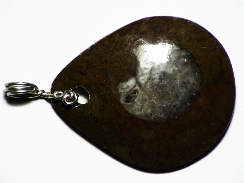 real fossil necklace