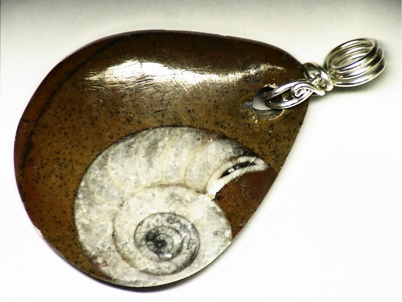 real fossil necklace