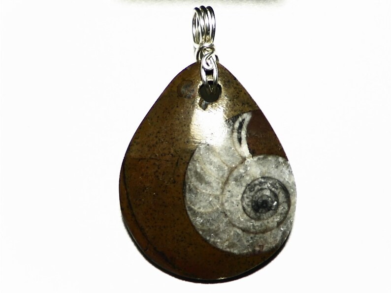 real fossil necklace