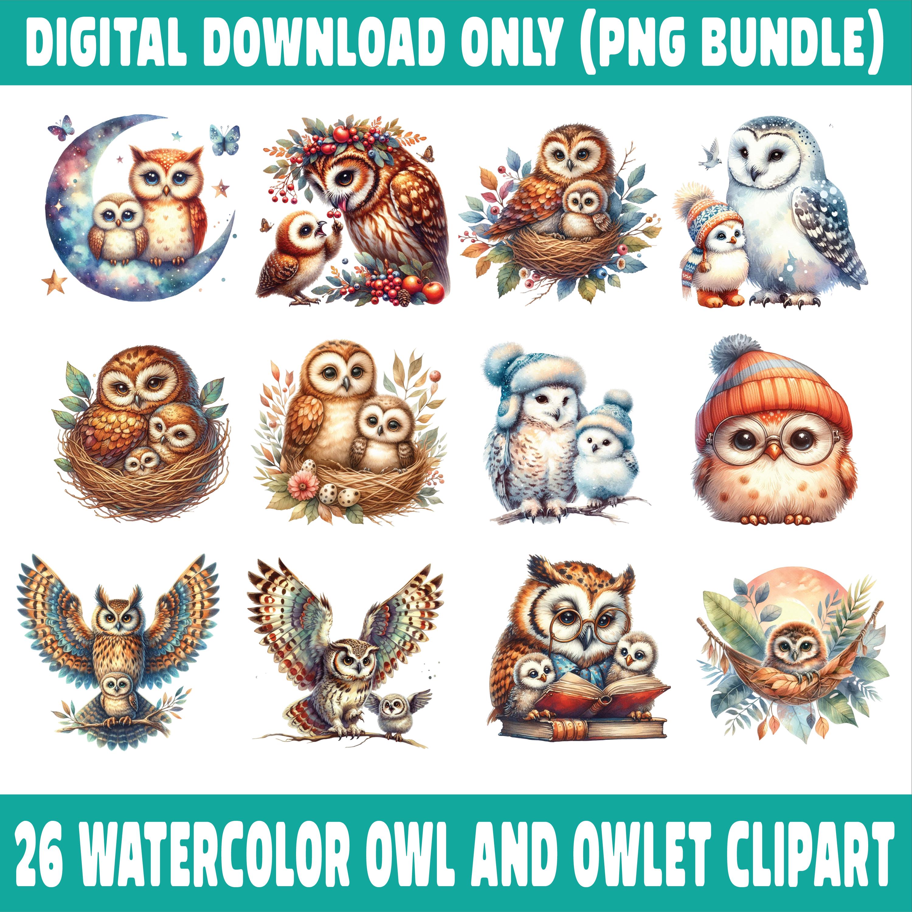 26 Watercolor Owl Clipart Bundle, Cute Owlet PNG Set, Digital Download Owls, Baby Owl Clipart, 12x12