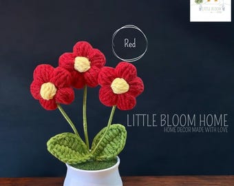 Handcrafted Crochet Flower Pot, Home Decor