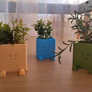 Op de afbeelding: Drie kleine, kleurrijke plantenbakken met lachende gezichten en aangehechte voetjes. Elke plantenbak bevat een ander soort groen. De plantenbakken zijn in tinten geel, blauw en groen en staan op een houten oppervlak.