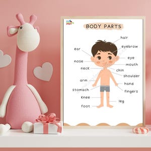 Cool Kids My Body Poster, Baby Room My Body Decor,   for Kids Room My Body, Kids Room My Body Frame, My Body Canva, My body I'm Learning,