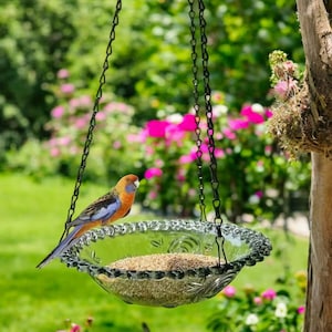 Hanging Bird Feeder for Garden Decor | Durable Plastic Outdoor Birdbath Bowl | Balcony Hanging Feeder | Backyard Bird Lovers Gift Idea