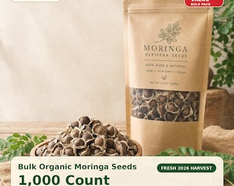 Bulk Organic Moringa Seeds, 1000 Count, Non-GMO Fresh 2026 Harvest