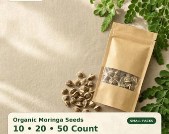 Organic Moringa Oleifera Seeds | Fresh 2026 Harvest | Fast Growing Superfood Tree | High Germination | Non-GMO