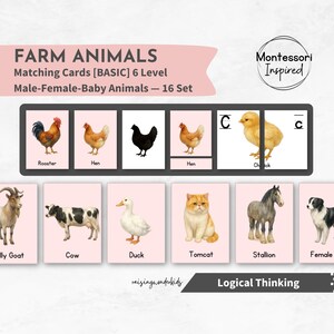 Realistic Farm Animals Matching Card, Cognition Cards, Male Female Young Baby Animals Flashcards, Silhouette, Shadow, Montessori, Homeschool
