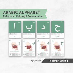 Könnte beinhalten: Lernkarten mit dem arabischen Alphabet, einschließlich 29 Buchstaben, Ausspracheführern und Illustrationen. Die Karten sind in Grün- und Weißtönen gehalten und tragen den Text "ARABIC ALPHABET".