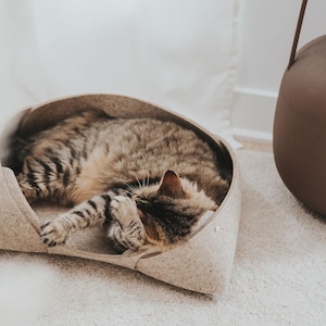 Wool Felt Pet Bed: Modern Cat & Dog Bed, Designed by Architect