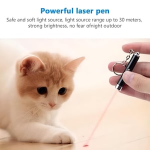 Könnte beinhalten: Ein schwarzer Laserpointer mit silberner Spitze sendet einen roten Strahl auf eine helle Katze. Die Katze hat orange-weißes Fell und schaut auf den Laser. Der Text auf dem Bild lautet "Powerful laser pen".
