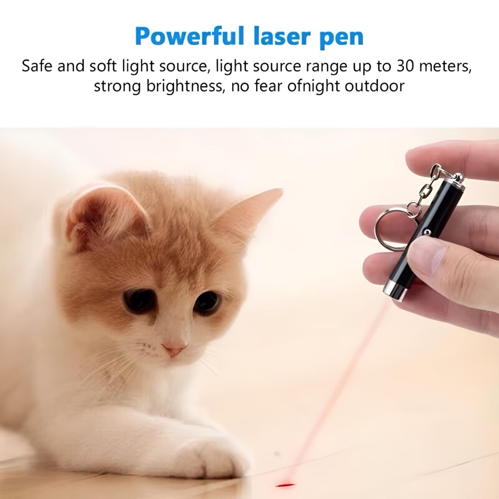 Custom Laser Pointer Pen Cat Toy