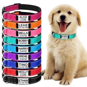 Custom Dog Collar with Name Tag – Reflective & Adjustable Pet Collar Gift