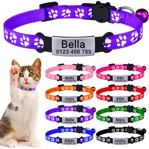 Collier pour chat personnalisé avec plaque d'identification gravée - Collier sécurisé pour chaton échappé