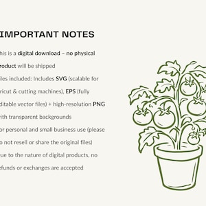 May include: A digital graphic featuring the text IMPORTANT NOTES followed by a list of file details and usage terms. To the right is a line art illustration of a tomato plant with several round tomatoes growing in a simple flower pot.