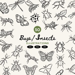 Pode incluir: Ilustrações a preto e branco de vários insetos e bichos, incluindo borboletas, abelhas e besouros. A imagem inclui o texto "50 Bugs / Insects Illustrations" com ícones de tipos de arquivo SVG, PNG e EPS.
