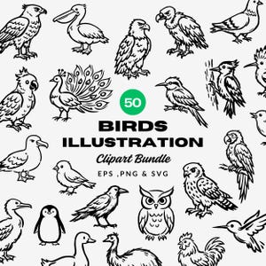 Puede incluir: Una colección de 50 ilustraciones de aves en blanco y negro, que incluyen águilas, búhos y pingüinos. El texto "BIRDS ILLUSTRATION Clipart Bundle" se muestra debajo de las imágenes, junto con "EPS, PNG & SVG". También hay un círculo verde con el número "50".