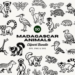 マダガスカルの動物クリップアート50点セット | マダガスカルの動物の線画イラスト | マダガスカルの野生動物 | マダガスカルの珍しい鳥