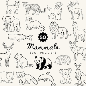 50 Säugetier-Cliparts im Bundle | Illustrationen von Säugetieren (SVG, PNG & EPS) | Tier-Linienzeichnungen