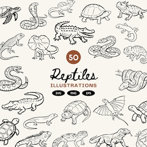 May include: Black and white illustrations of various reptiles, including snakes, turtles, lizards, and a crocodile. The word "Reptiles" is written in a stylized font, with the number "50" in a circle above it. Below the word "Reptiles" are the words "Illustrations" and the file types "SVG, PNG, EPS."