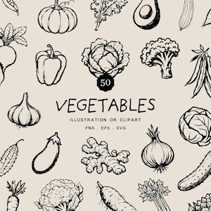 Puede incluir: Ilustración en blanco y negro de varios vegetales, incluyendo una calabaza, pimiento, col, brócoli, ajo, berenjena, jengibre y cebolla. La palabra "VEGETABLES" está escrita en negrita, con "ILLUSTRATION OR CLIPART" debajo.