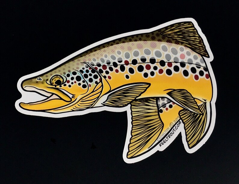 Brown Trout vinyl decal sticker Etsy