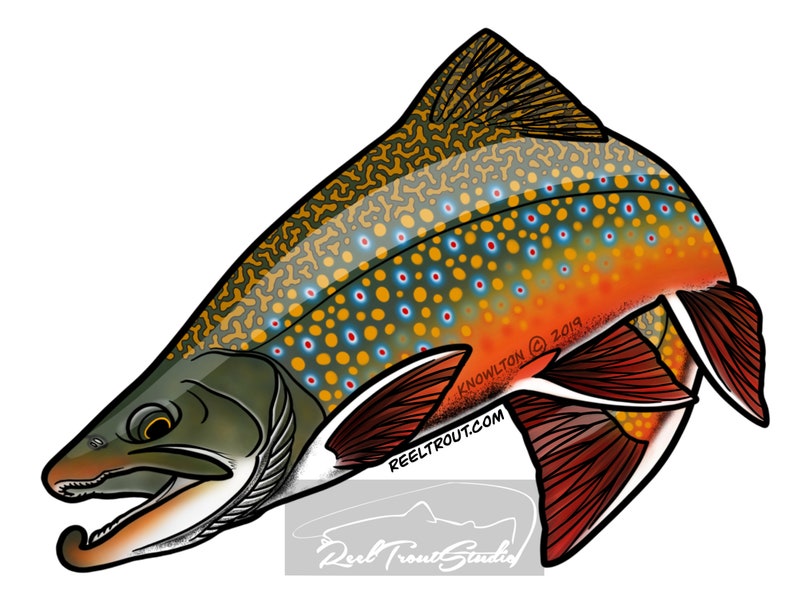 Brook Trout Vinyl Decal Sticker LEFT FACING Fly Fishing Etsy