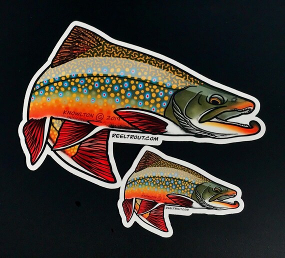 Fishing Bumper Stickers BROWN TROUT 4.5/" x 3/" decals fly fishing