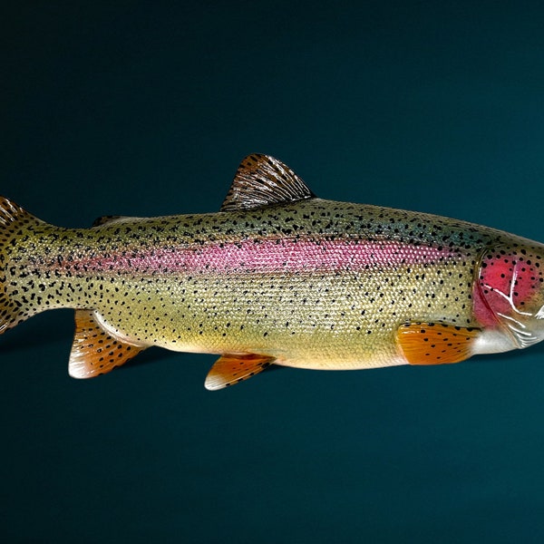 Rainbow Trout Wall Sculpture || Lodge, Cabin, Wall Art, Catch and Release, Fly Tying, Flyfishing Wood Fish Carving Cast