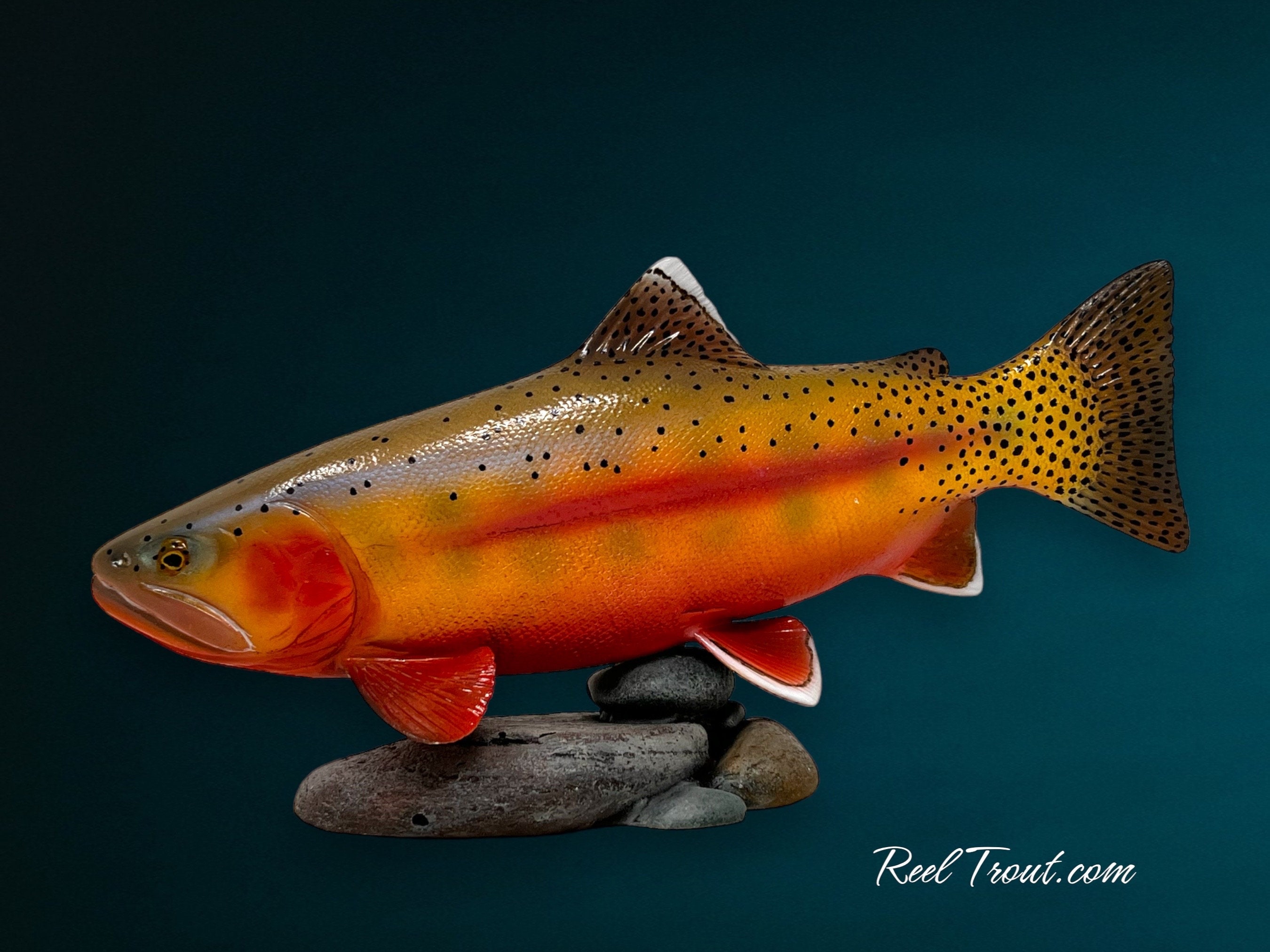 Golden Trout Sculpture Fishing, Flyfishing, Fly Tying, Taxidermy, Art, Home  Decor, Lodge, Cabin, office desk Father’s Day gift